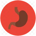 Stomaco Anatomia Umano Icon