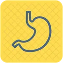 Stomaco Anatomia Umano Icon