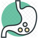 Stomaco Anatomia Umano Icon