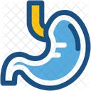 Stomaco Anatomia Umano Icon