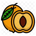 Stone Fruit Orange Colored Dried Apricots Icon