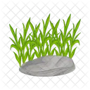 Grass Stone Plant Icon