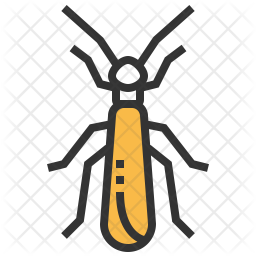 Stonefly Icon