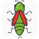 Stonefly  Icon