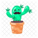 Stoner Cactus  Icono