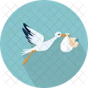 Storch Baby Chordata Symbol