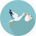 Stork Baby Chordata Icon