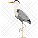 Stork Wildlife Bird Icon
