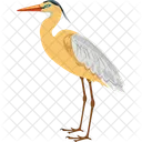 Stork Bird Fly Icon