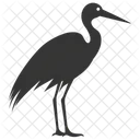 Stork Bird Long Legged Wading Icon