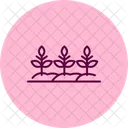 Straight Row Crops Straight Row Icon