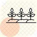 Straight Row Crops Icon