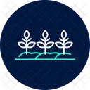 Straight Row Crops Straight Row Icon