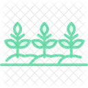 Straight Row Crops Icon