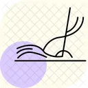 畑のわら アイコン