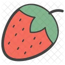 딸기 과일 베리 아이콘