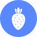 Strawberry Berry Diet Icon