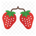 Strawberry Berry Organic Icon