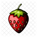 Strawberry Garden Cultivated Icon