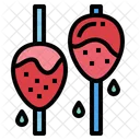 Strawberry  Symbol