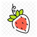 Fragaria Strawberry Fruit Icon