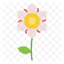 Floral Flower Ecology Icon