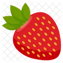 Berry Fruit Vitamin Icon