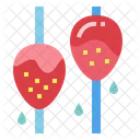 Strawberry  Symbol