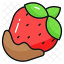 Strawberry  Symbol