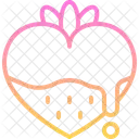 Strawberry Valentines Day Romantic Symbol
