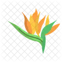 Strelitzia Flower Flowers Icon