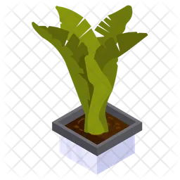 Strelitzia Plant  Icon