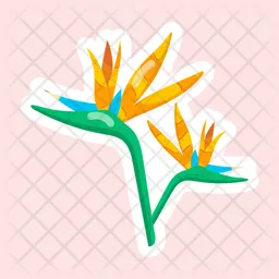 Strelitzia Reginae  Icon