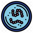 Streptococci  Icon