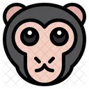 Stress Monkey  Icon