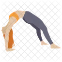 Stretch Muscle Exercise Aerobics Stretch Muscle Icon
