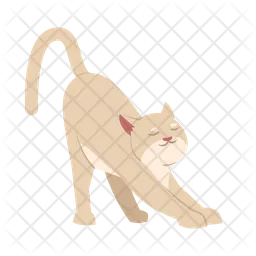 Stretching Cat  Icon