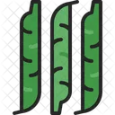 String Bean Green Icon
