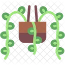 String of beads  Icon