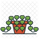 Plants Vector Illustration Perfect For Your Website App Or Content Icon