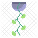 String Of Hearts Plant  Icon