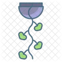 String Of Hearts Plant String Of Hearts Pot String Of Hearts Icon