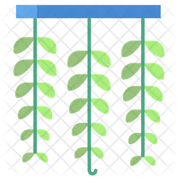 String Of Nickels Plant  Icon