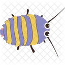 Pillbug Bug Arthropod Icon