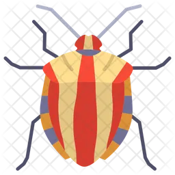Striped Shield Bug  Icon