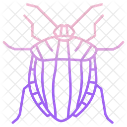 Striped Shield Bug  Icon