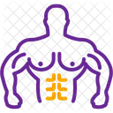Strong Immunity Healthy Icon