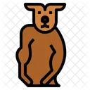 Strong Kangaroo  Icon