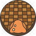 Stroopwafel Icon