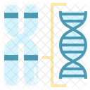 Structure chromosomique  Icône